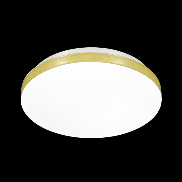 Настенно-потолочный светодиодный светильник Sonex Smalli 3066/AL