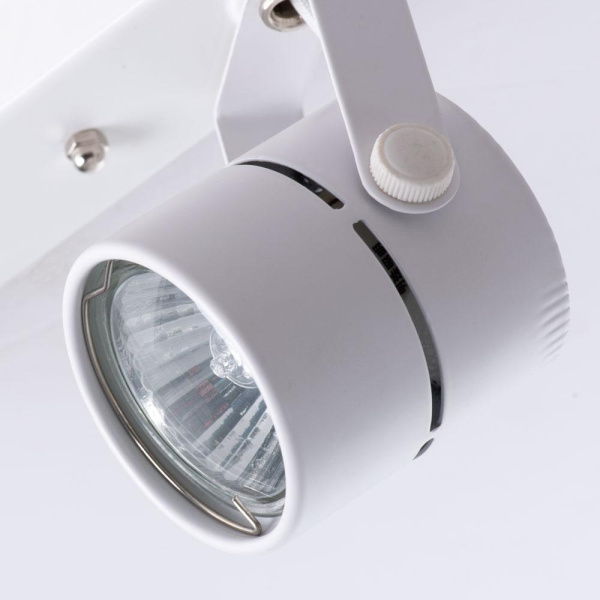 Потолочный светильник Arte Lamp A1311PL-2WH
